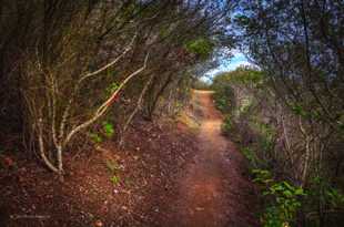 Secret Trail-8556.jpg